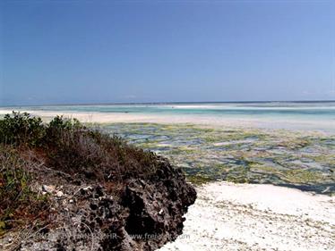 Beach walk, Zanzibar, DSC07370b